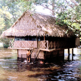 Huis in Yarinacocha