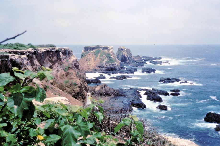 Isla de la Plata bij Puerto Lopez (Ecuador)